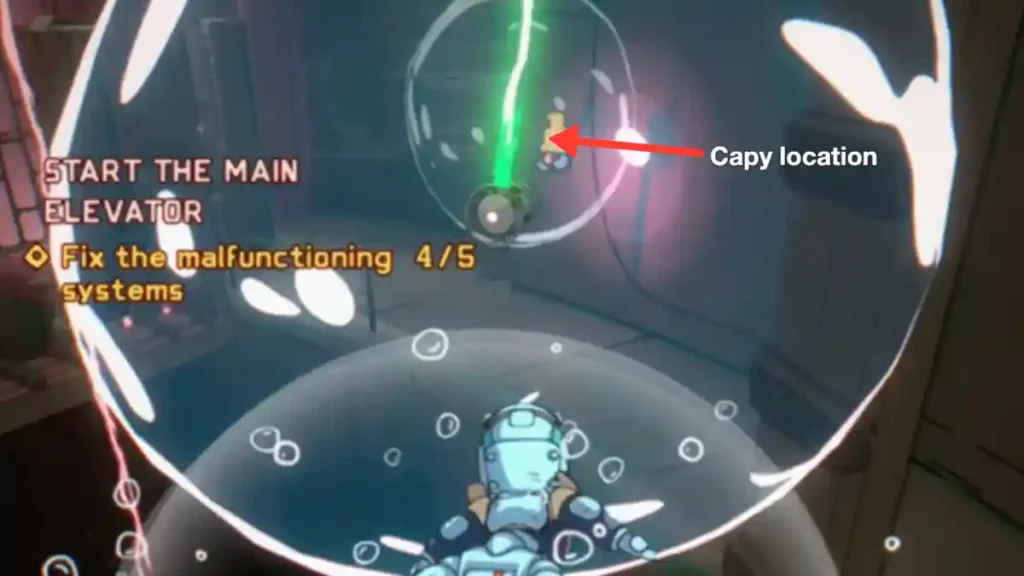 capy location upper area