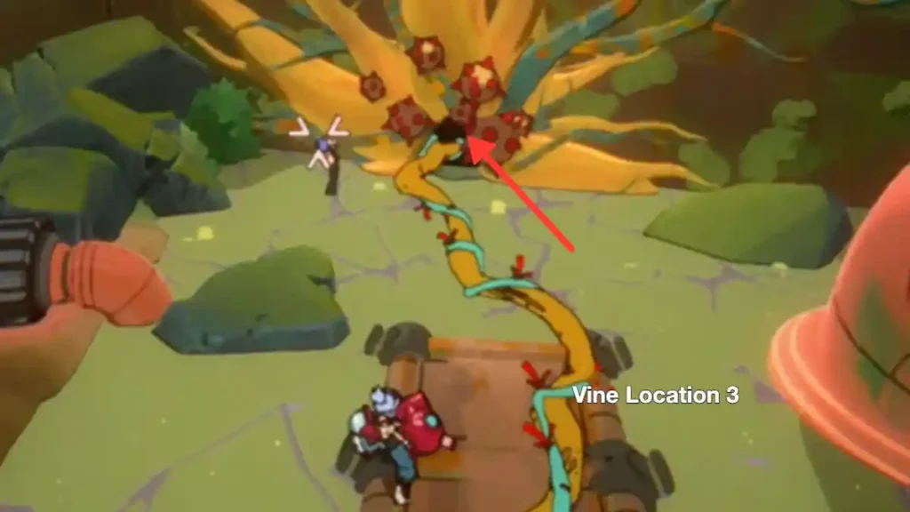 vine location 3 orbitals