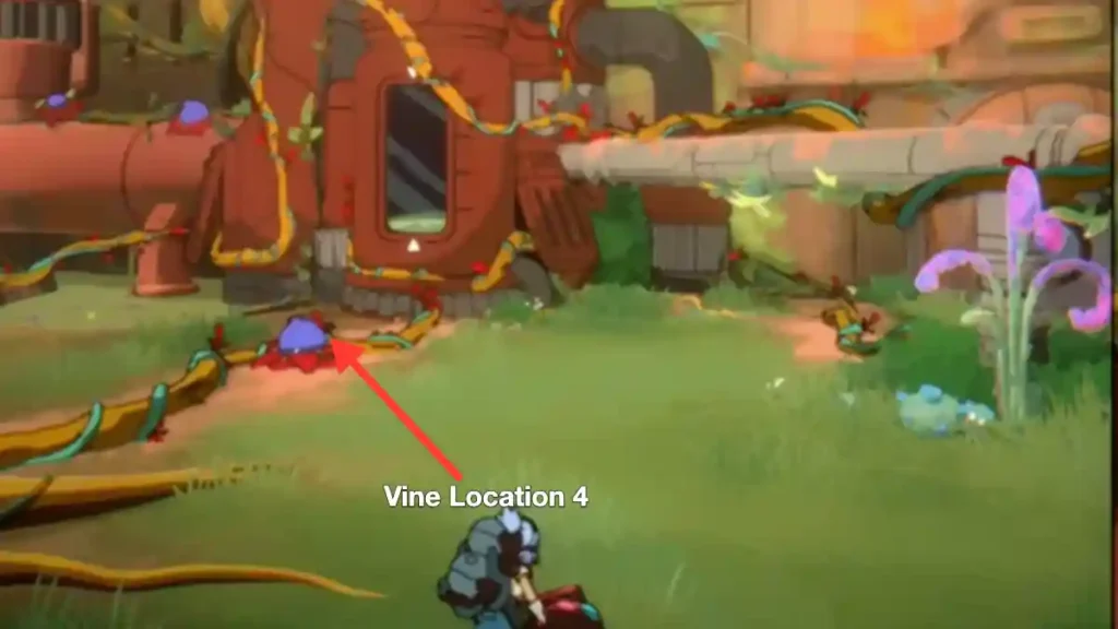 vine location 4 orbitals