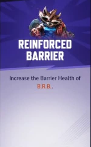 Reinforced Barrier