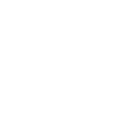 Terrascion CZN